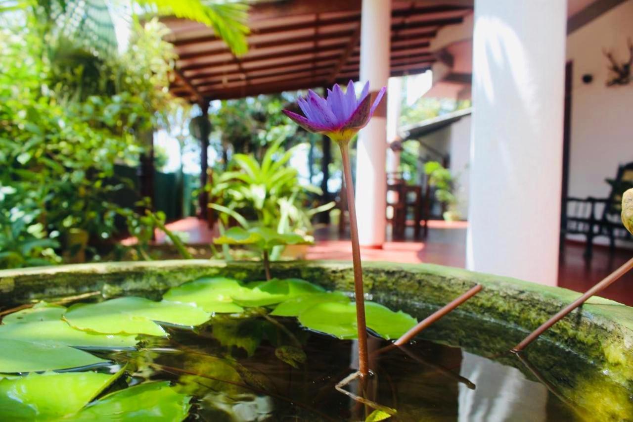 Sunrise Guest House & Restaurant Tangalle Dış mekan fotoğraf
